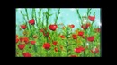 Go`zal Toshkent