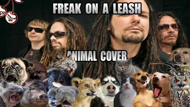 Korn – Freak On A Leash (Animal Cover)