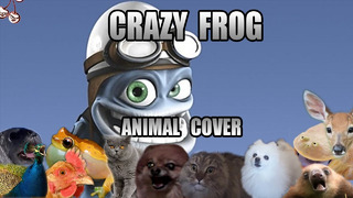 Crazy Frog – Axel F (Animal Cover)