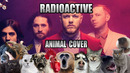 Imagine Dragons – Radioactive (Animal Cover)