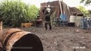 Обезьяна и AK-47