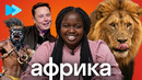 Разоблачение мифов об Африке: Кетура из Замбии шокировала фактами