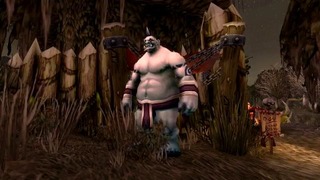 Warcraft История мира – Существуют ли женщины огры