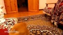 Реакция кота на игру Марио