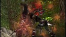 Видео к игре Lineage 2 GoD Lindvior (1)