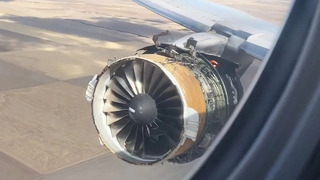 FAILS ON A PLANE | Wild Air Travel and Flying Compilation
