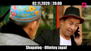 Shapaloq – Olimtoy zapal (anons)