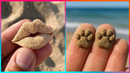 Crazy SAND SCULPTURES That Are At Another Level ▶ 2