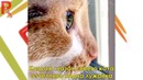 18 фото, отражение которых создает необычные образы