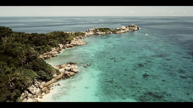 Back To You – Bastique (INFINITY)