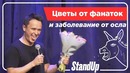 Стендап Соболева Который Помогает Индустрии