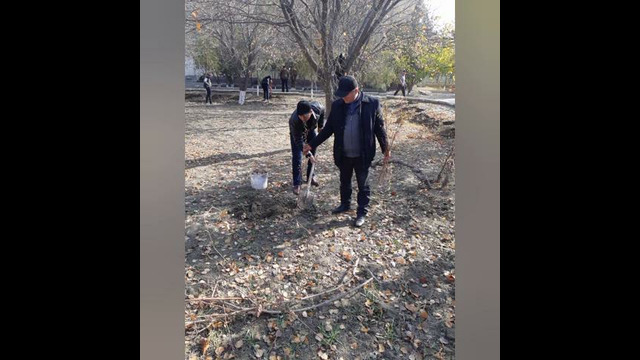 Yashil makon umummilliy harakati