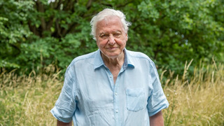 A Message From Sir David Attenborough | A Perfect Planet | BBC Earth