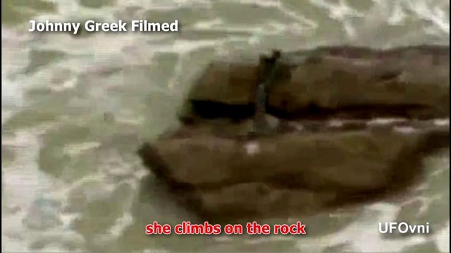 Amazing Mermaid On The Rock Sirena (Animal Planet, Special Analysis 100% TRUE)