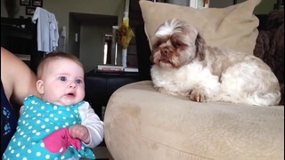 Ребенок обсуждает с собакой