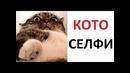 Лютые приколы. Кот сделал селфи