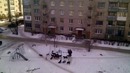 Стая собак в центре города