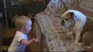 Малыш объясняет собаке