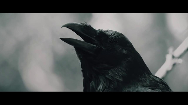 Hollywood Undead – IDOL feat. Tech N9ne (Official Video)
