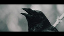 Hollywood Undead – IDOL feat. Tech N9ne (Official Video)