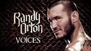 Randy orton music theme