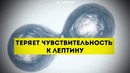 9 Гормонов, Стимулирующих Набор Веса, и Как Этого Избежать