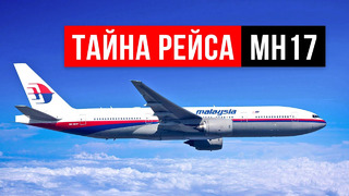 Рейс MH17. Что Случилось с Малайзийским Боингом в 2014 году