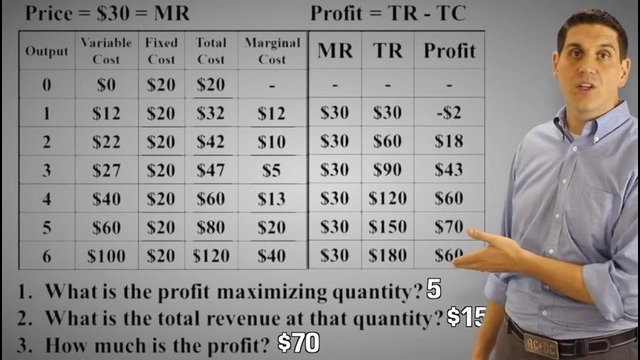Micro-37: Maximizing Profit Practice