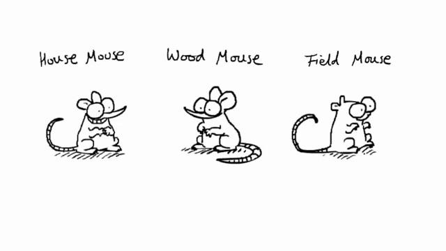 Саймон рисует мышей