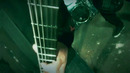 Thy Kingdom Will Burn – Rise Against (Official Video 2021)