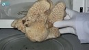 Микроволновка и мыло – физические опыты