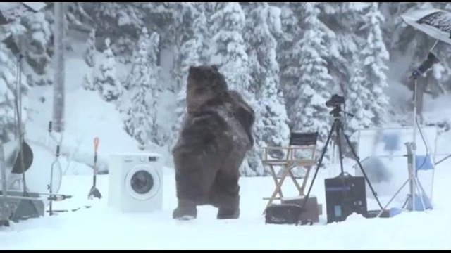 Медведь неожиданно появился на съемках (Кураж-Бамбей)