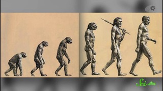 Эволюция – Хватит за мной ходить(TED Ed)