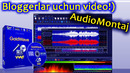 Audiomontaj YouTube