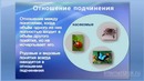10. Отношения между понятиями
