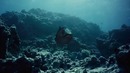 Морские динозавры Путешествие в доисторический мир Документальный фильм