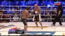 Александр Емельяненко – Джефф Монсон. M-1 Challenge 35 (15.11.2012)