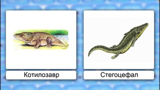 Биология – Зоология – Класс Рептилии. Отряд Чешуйчатые