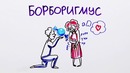 Научпок – Как ускорить метаболизм