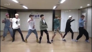 (Mirrored) BTS ‘I Like It Part 2’ Dance Practice