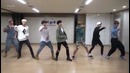 (Mirrored) BTS ‘I Like It Part 2’ Dance Practice