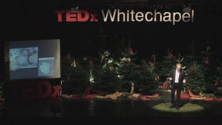 Грэм Хэнкок Война с сознанием TED 2013