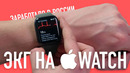 ЭКГ на Apple Watch заработал в России – тестируем и спрашиваем что думают врачи