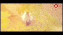 Origami Films-Oleg&Irina(Wedding Highlights)