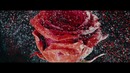 Martin Garrix & David Guetta – So Far Away (feat. Jamie Scott & Romy Dya)