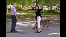 Лучшие приколы скрытой камерой Just for laughs gags – выпуск 13