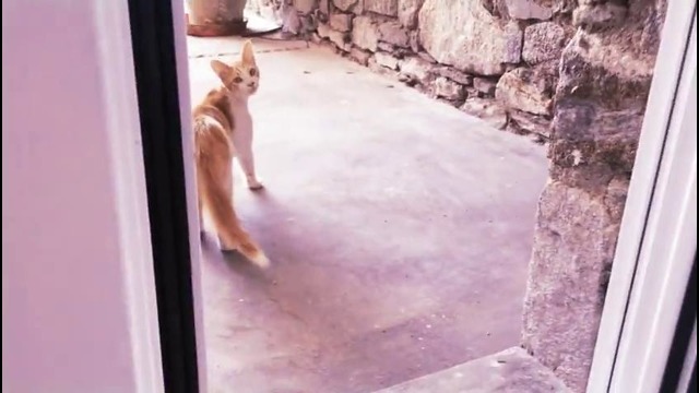 Sonya Esman: ГРЕЦИЯ ♡ съёмки, тусовки, опасность, и странные мысли