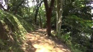 Япония- прогулка по парку и обсуждение полукровок