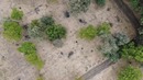 Mavic 2 Zoom — летай далеко, снимай близко