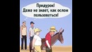 Вся суть общественного мнения
